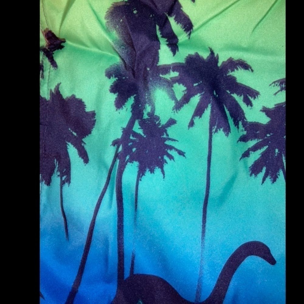 🎉 HP 🎉 NWT NEW  Boys' Neon Sharks Swim Trunks - Picture 4 of 7